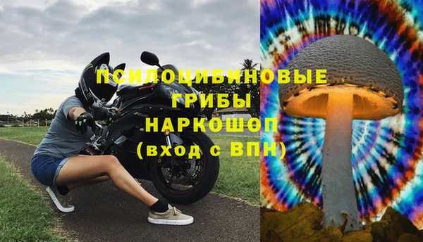 ПСИЛОЦИБИНОВЫЕ ГРИБЫ Балабаново