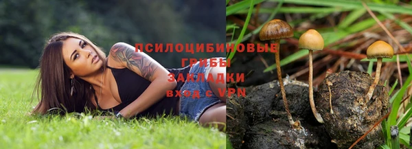 ПСИЛОЦИБИНОВЫЕ ГРИБЫ Балабаново