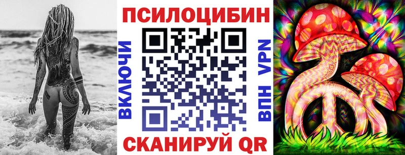 Галлюциногенные грибы Cubensis сколько стоит Гусев